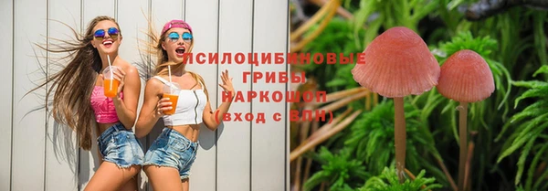 PSILOCYBIN Волоколамск