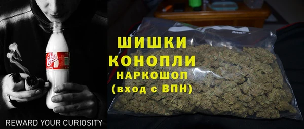 ECSTASY Вяземский