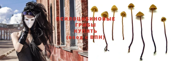 PSILOCYBIN Волоколамск