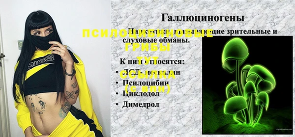 тгк Вязники