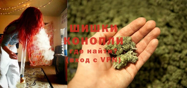ECSTASY Вяземский