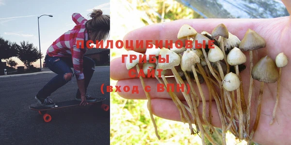 PSILOCYBIN Волоколамск