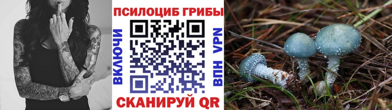 Псилоцибиновые грибы ЛСД  купить   Демидов 